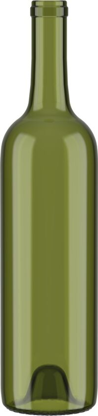 500066 | Catalog | O-I